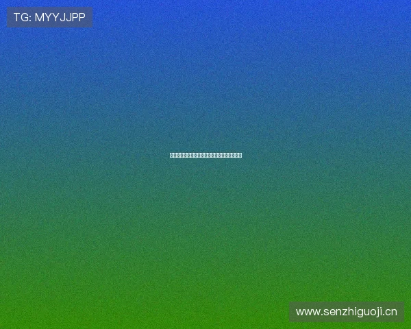 星速浏览器最新版官方下载体验极速上网新选择